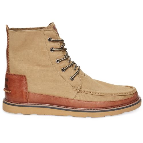 TOMS SEARCH BOTY TOMS SEARCH BOTY